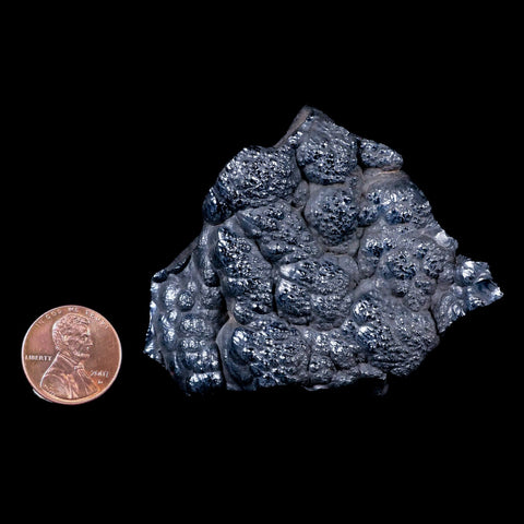 2.6 Hematite Botryoidal Kidney Ore Rock Mineral Specimen Irhoud Mine, Morocco - Fossil Age Minerals