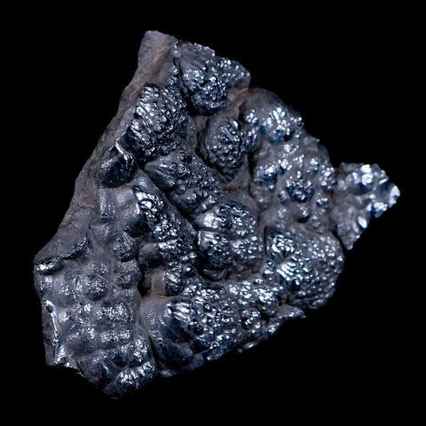 2.6 Hematite Botryoidal Kidney Ore Rock Mineral Specimen Irhoud Mine, Morocco - Fossil Age Minerals