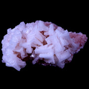 3.8" Quality Pink Halite Salt Crystals Cluster Mineral Trona, CA Searles Lake Stand