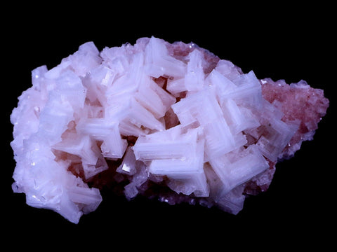 3.8" Quality Pink Halite Salt Crystals Cluster Mineral Trona, CA Searles Lake Stand - Fossil Age Minerals