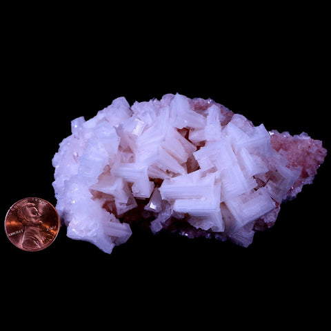3.8" Quality Pink Halite Salt Crystals Cluster Mineral Trona, CA Searles Lake Stand - Fossil Age Minerals