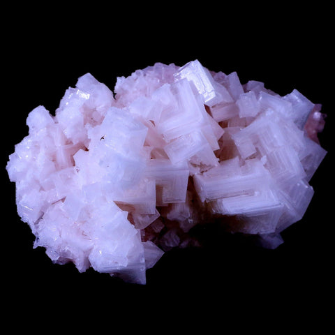 3.8" Quality Pink Halite Salt Crystals Cluster Mineral Trona, CA Searles Lake Stand - Fossil Age Minerals