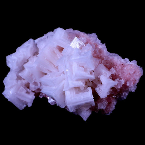 3.8" Quality Pink Halite Salt Crystals Cluster Mineral Trona, CA Searles Lake Stand - Fossil Age Minerals