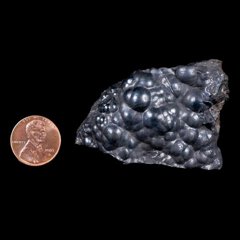 2.2 Hematite Botryoidal Kidney Ore Rock Mineral Specimen Irhoud Mine, Morocco - Fossil Age Minerals