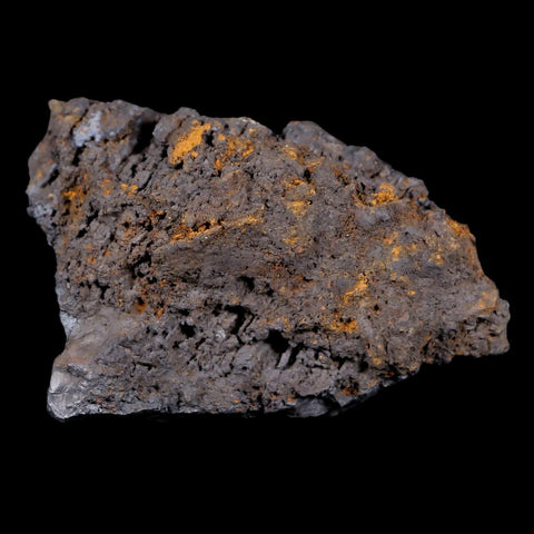 2.2 Hematite Botryoidal Kidney Ore Rock Mineral Specimen Irhoud Mine, Morocco - Fossil Age Minerals