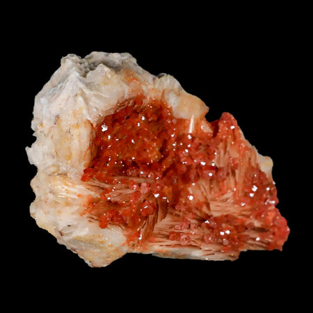 3.3" Sparkly Orange Vanadinite Crystals White Barite Blades Mineral Mabladen Morocco