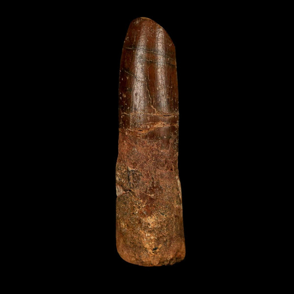 1.5