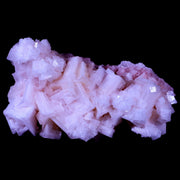 4.1" Quality Pink Halite Salt Crystals Cluster Mineral Trona, CA Searles Lake Stand