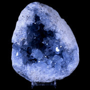 XL 5.6" Sky Blue Rough Celestite Crystal Druzy Cluster Geode 3 LB 14 OZ Celestine