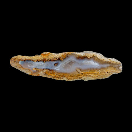 2.7" Agatized Coral Slabs Fossil Oligocene and Miocene Epochs Suwannee River Florida