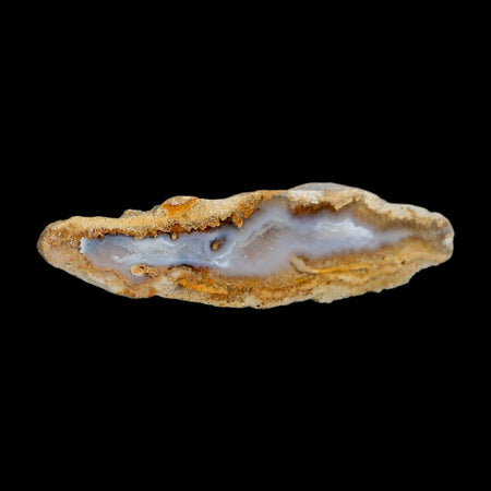 2.7" Agatized Coral Slabs Fossil Oligocene and Miocene Epochs Suwannee River Florida