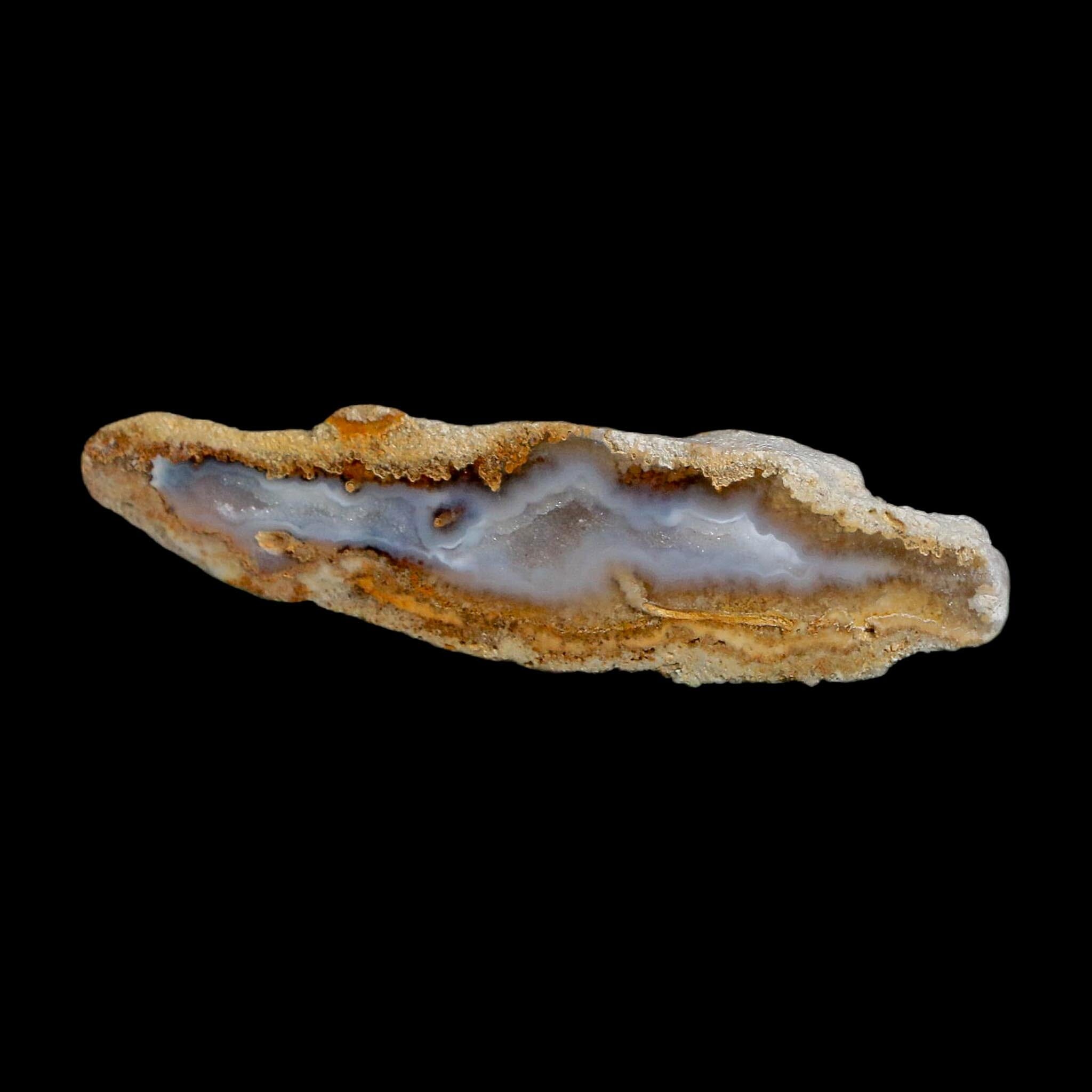 2.7" Agatized Coral Slabs Fossil Oligocene and Miocene Epochs Suwannee River Florida - Fossil Age Minerals
