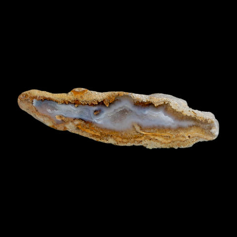 2.7" Agatized Coral Slabs Fossil Oligocene and Miocene Epochs Suwannee River Florida