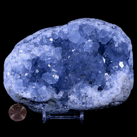 XL 5.4" Sky Blue Rough Celestite Crystal Druzy Cluster Geode 3 LB 15.2 OZ Celestine - Fossil Age Minerals