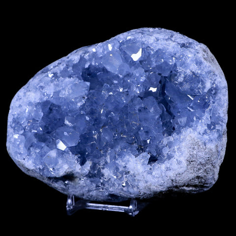 XL 5.4" Sky Blue Rough Celestite Crystal Druzy Cluster Geode 3 LB 15.2 OZ Celestine - Fossil Age Minerals