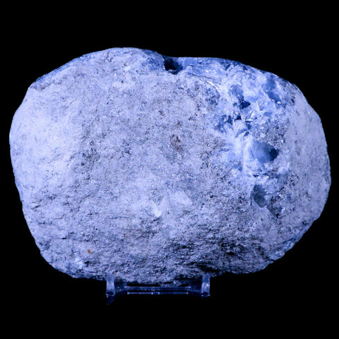 XL 5.4" Sky Blue Rough Celestite Crystal Druzy Cluster Geode 3 LB 15.2 OZ Celestine - Fossil Age Minerals