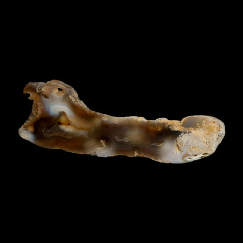 3.2" Agatized Coral Slabs Fossil Oligocene and Miocene Epochs Suwannee River Florida