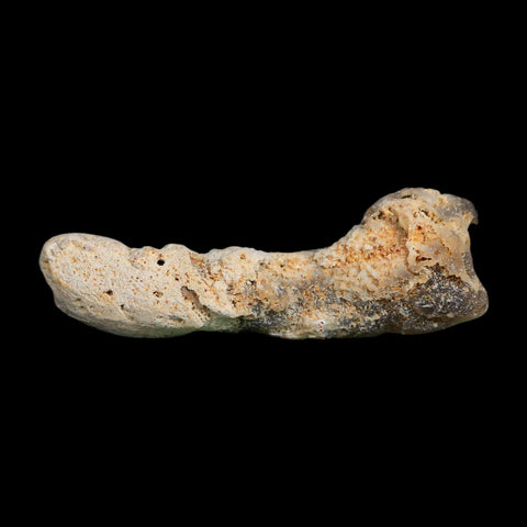 3.2" Agatized Coral Slabs Fossil Oligocene and Miocene Epochs Suwannee River Florida
