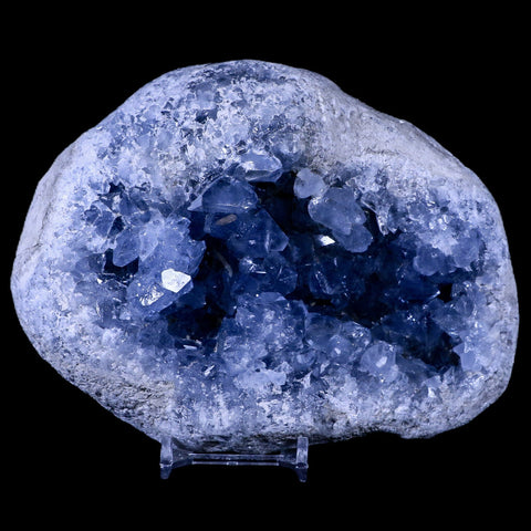 XL 6" Sky Blue Rough Celestite Crystal Druzy Cluster Geode 4 LB 6.1 OZ Celestine - Fossil Age Minerals