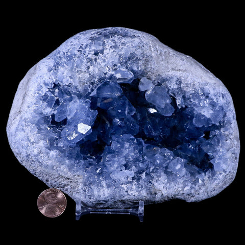 XL 6" Sky Blue Rough Celestite Crystal Druzy Cluster Geode 4 LB 6.1 OZ Celestine - Fossil Age Minerals