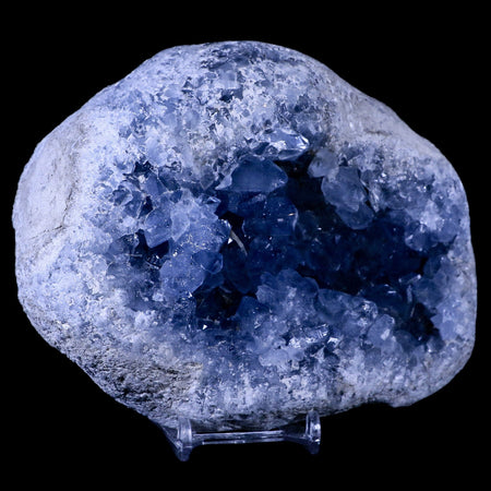 XL 6" Sky Blue Rough Celestite Crystal Druzy Cluster Geode 4 LB 6.1 OZ Celestine