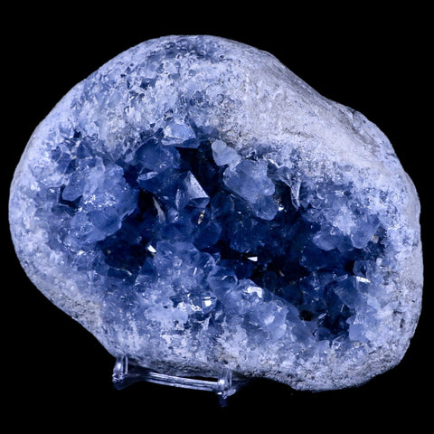 XL 6" Sky Blue Rough Celestite Crystal Druzy Cluster Geode 4 LB 6.1 OZ Celestine - Fossil Age Minerals