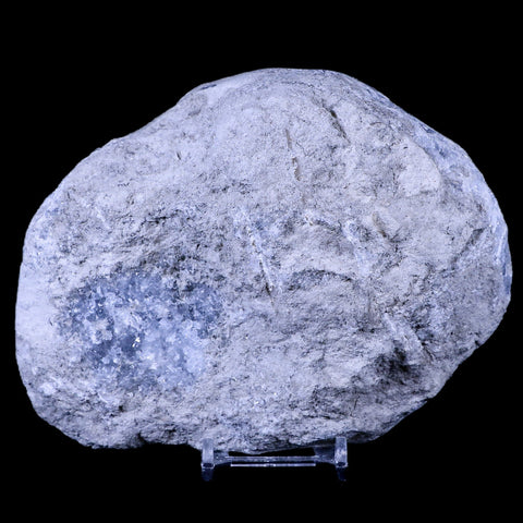 XL 6" Sky Blue Rough Celestite Crystal Druzy Cluster Geode 4 LB 6.1 OZ Celestine - Fossil Age Minerals