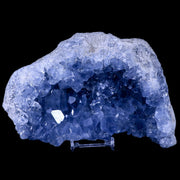 XL 7.3" Sky Blue Rough Celestite Crystal Druzy Cluster Geode 4 LB 7.8 OZ Celestine