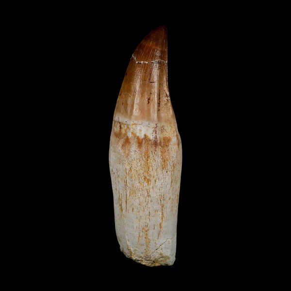 XL 4.3