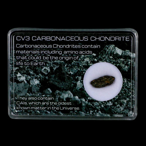 0.6" CV3 Carbonaceous Chondrite Meteorite Specimen CAIS Display - Fossil Age Minerals