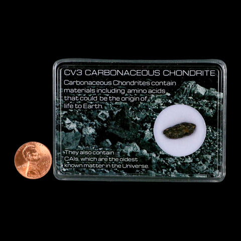 0.6" CV3 Carbonaceous Chondrite Meteorite Specimen CAIS Display - Fossil Age Minerals