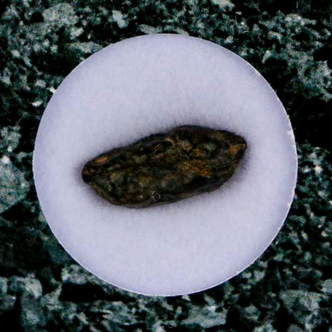 0.6" CV3 Carbonaceous Chondrite Meteorite Specimen CAIS Display - Fossil Age Minerals