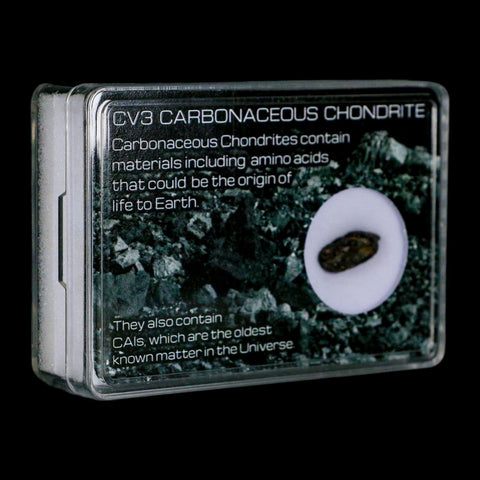 0.6" CV3 Carbonaceous Chondrite Meteorite Specimen CAIS Display - Fossil Age Minerals