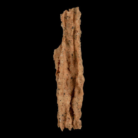 3.3" Fulgurite Petrified Lightning Strike Glass Sahara Desert Algeria - Fossil Age Minerals