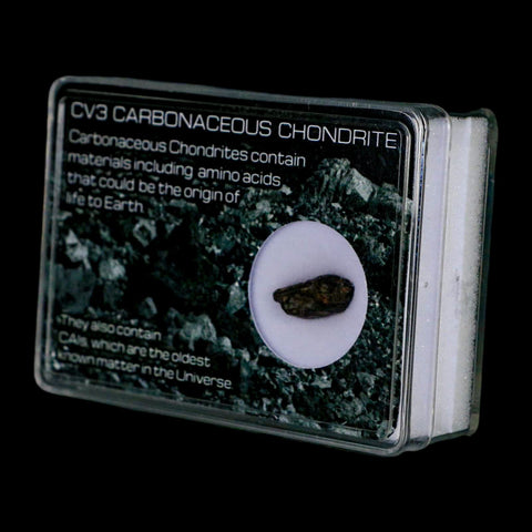 0.6" CV3 Carbonaceous Chondrite Meteorite Specimen CAIS Display - Fossil Age Minerals