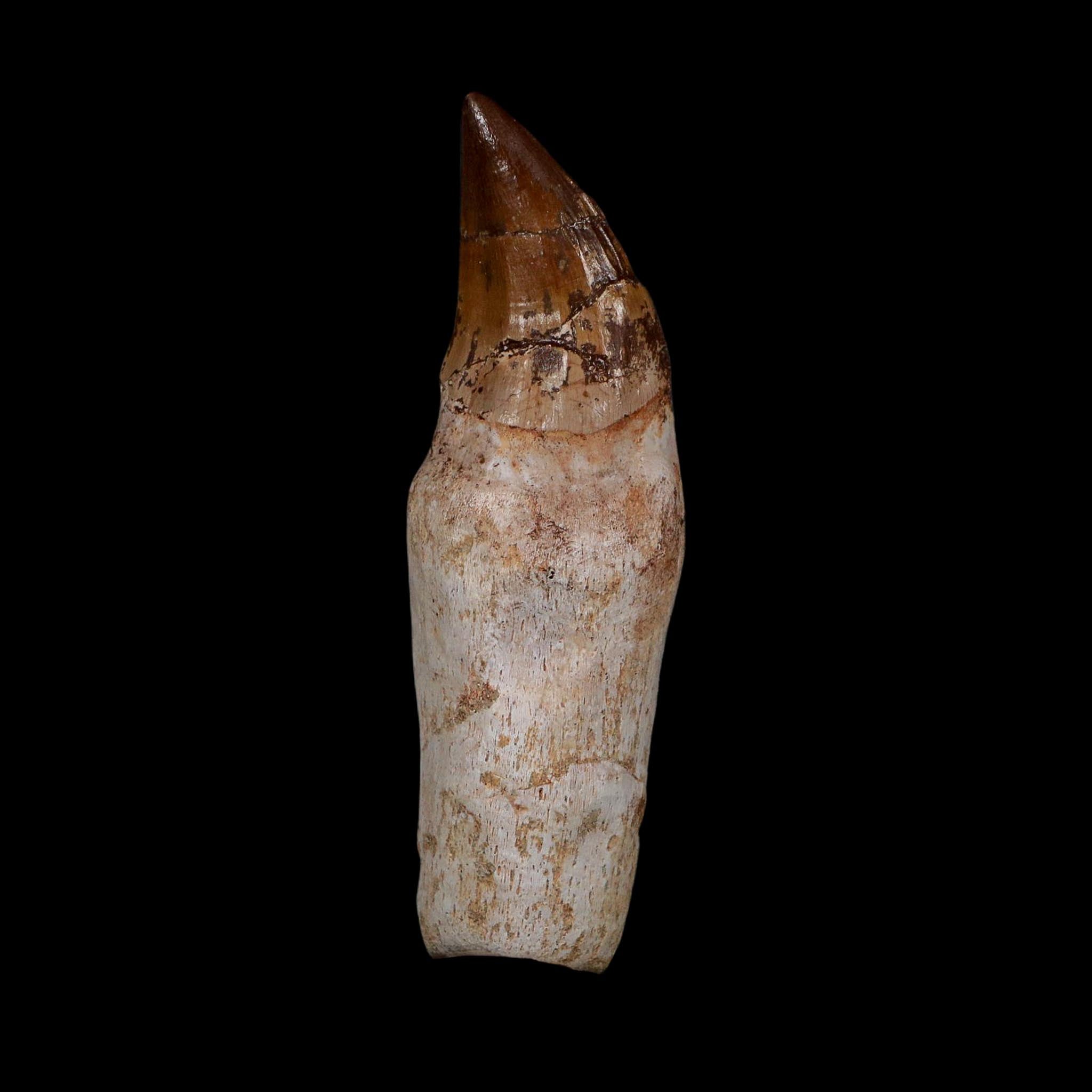XL 4.5
