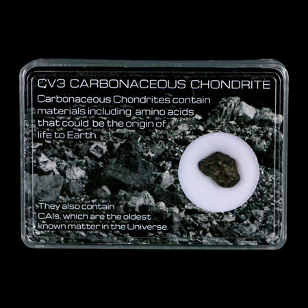 0.5" CV3 Carbonaceous Chondrite Meteorite Specimen CAIS Display