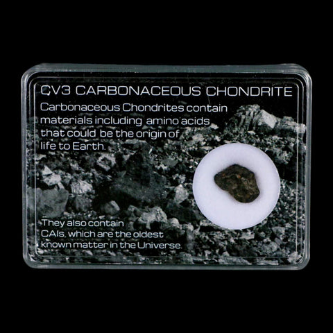 0.5" CV3 Carbonaceous Chondrite Meteorite Specimen CAIS Display - Fossil Age Minerals