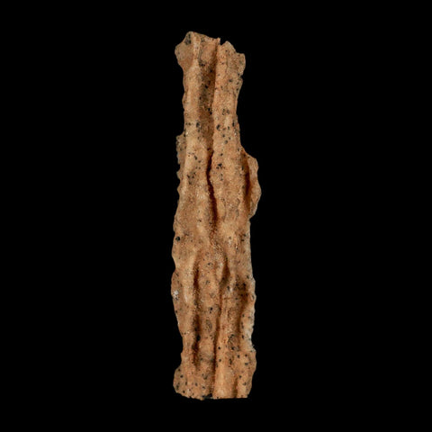 3.3" Fulgurite Petrified Lightning Strike Glass Sahara Desert Algeria - Fossil Age Minerals