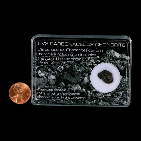 0.5" CV3 Carbonaceous Chondrite Meteorite Specimen CAIS Display - Fossil Age Minerals