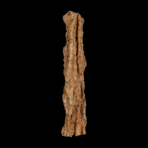 3.3" Fulgurite Petrified Lightning Strike Glass Sahara Desert Algeria - Fossil Age Minerals