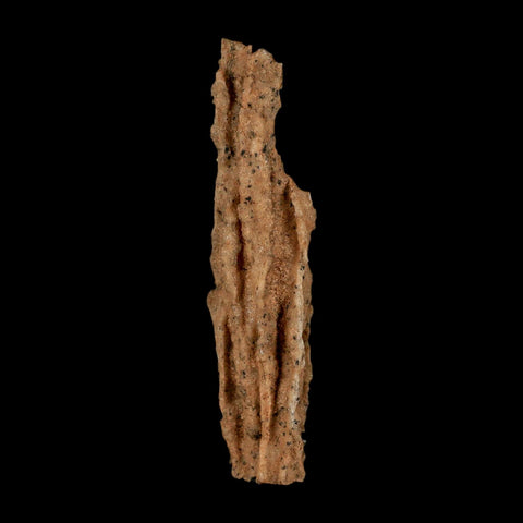 3.3" Fulgurite Petrified Lightning Strike Glass Sahara Desert Algeria - Fossil Age Minerals