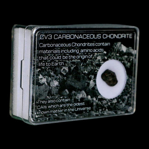 0.5" CV3 Carbonaceous Chondrite Meteorite Specimen CAIS Display - Fossil Age Minerals