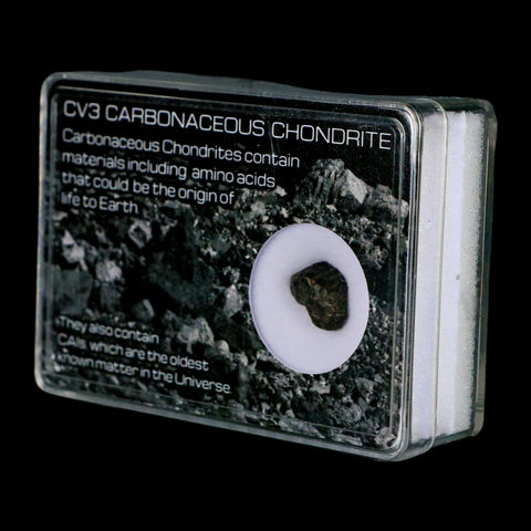 0.5" CV3 Carbonaceous Chondrite Meteorite Specimen CAIS Display - Fossil Age Minerals