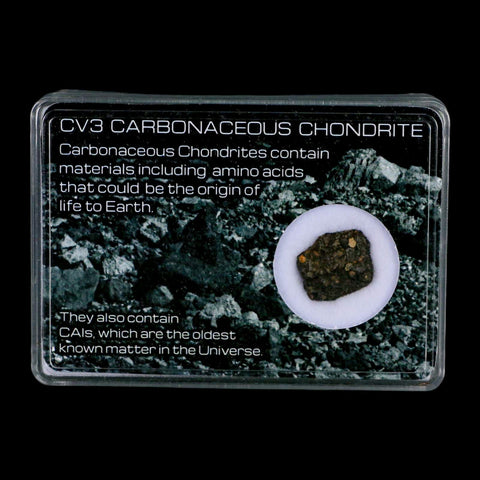 0.6" CV3 Carbonaceous Chondrite Meteorite Specimen CAIS Display - Fossil Age Minerals