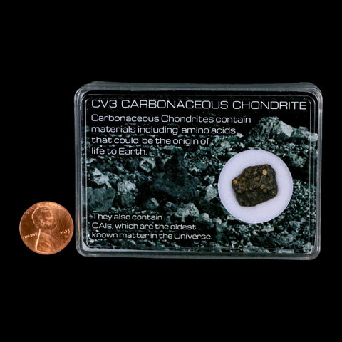0.6" CV3 Carbonaceous Chondrite Meteorite Specimen CAIS Display - Fossil Age Minerals