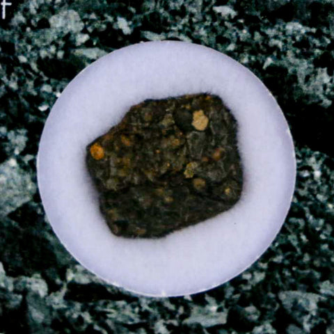 0.6" CV3 Carbonaceous Chondrite Meteorite Specimen CAIS Display - Fossil Age Minerals