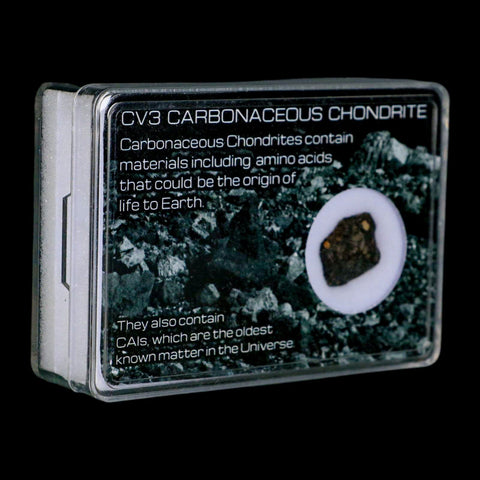 0.6" CV3 Carbonaceous Chondrite Meteorite Specimen CAIS Display - Fossil Age Minerals
