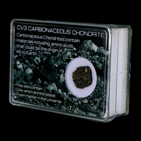 0.6" CV3 Carbonaceous Chondrite Meteorite Specimen CAIS Display - Fossil Age Minerals