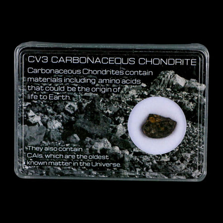 0.5" CV3 Carbonaceous Chondrite Meteorite Specimen CAIS Display